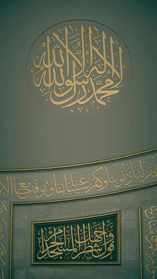 8afb44d52a.webp